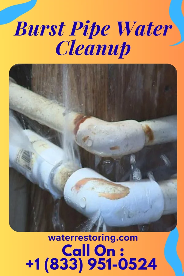 Burst Pipe Water Cleanup in Two Strike, SD