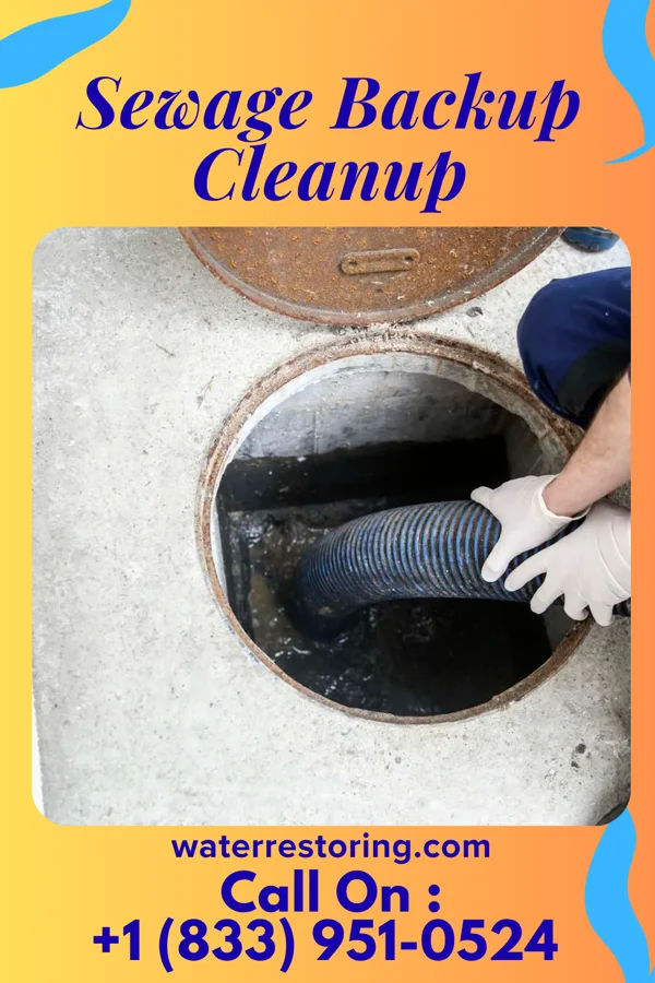Sewage Backup Cleanup in Two Strike, SD